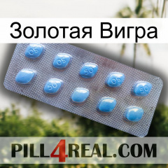 Золотая Вигра viagra3